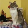Отзыв от Эмма Лобанова